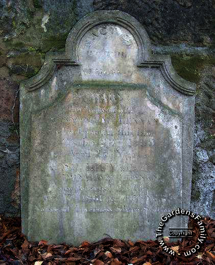 Photo of headstones/Effy McLennan d1861 hstn St Andrews Hobart